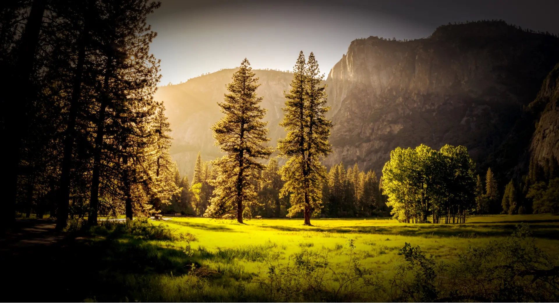 Forest meadow with Mountains on the Background